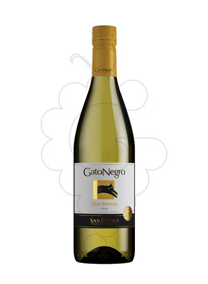Photo Gato Negro Blanco Chardonnay white wine