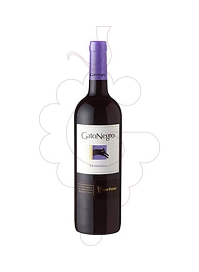 Photo Gato Negro Carmenere  red wine