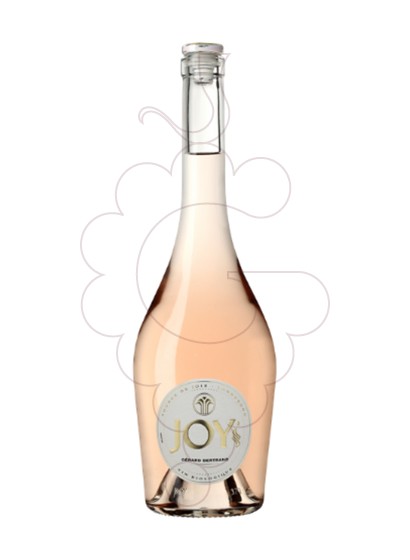 Photo G.Bertrand Joy Rosé Magnum rosé wine