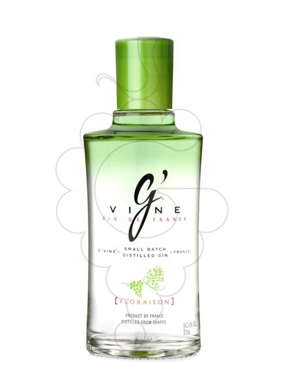 Photo Gin G'vine Floraison