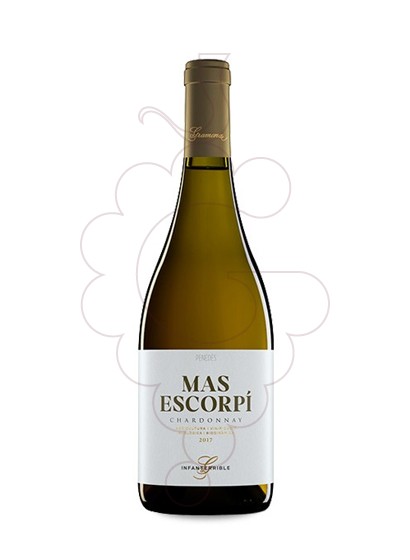 Photo Mas Escorpí Chardonnay white wine