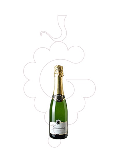 Photo Gramona Reserva Brut (mini) sparkling wine