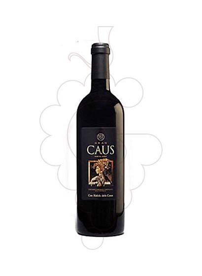 Photo Red Gran Caus Reserva red wine