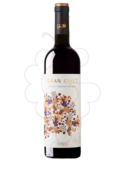 Photo Gran Civet Criança  red wine