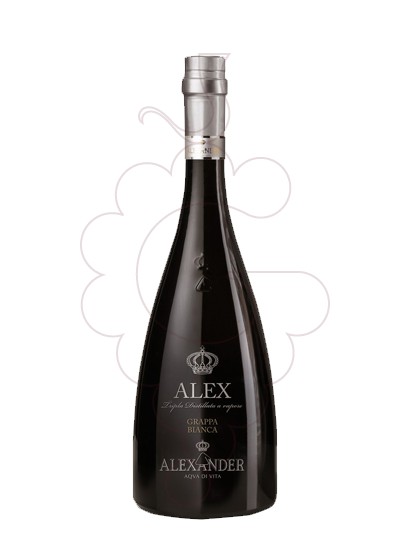 Photo Grappa Grappa Alexander Bianca