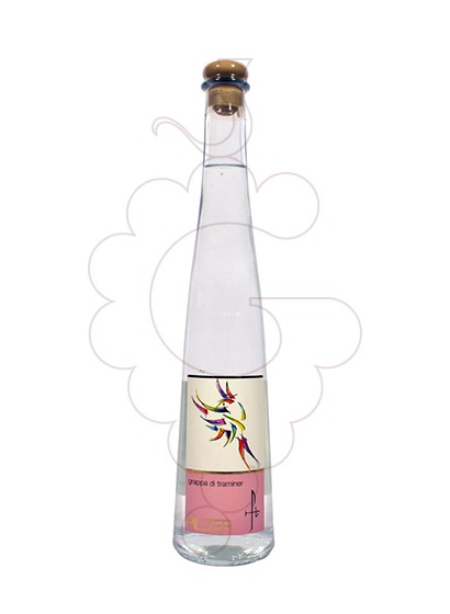 Photo Grappa Grappa Pilzer di Gewürztraminer