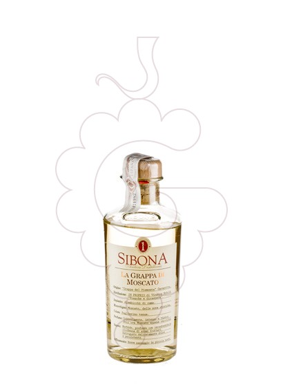 Photo Grappa Grappa Sibona Moscato