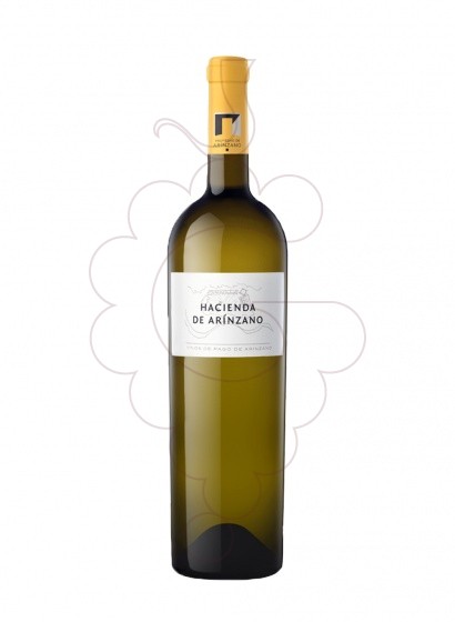 Photo White Hacienda de Arínzano Magnum white wine