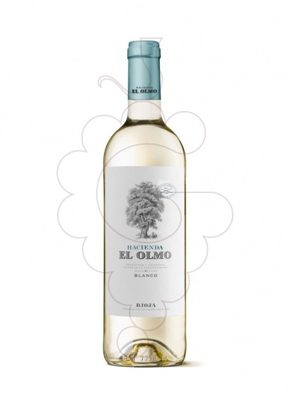 Photo White Hacienda el Olmo white wine