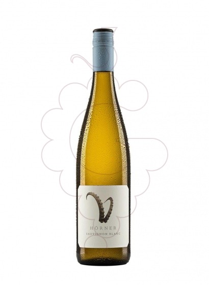 Photo Horner Sauvignon white wine