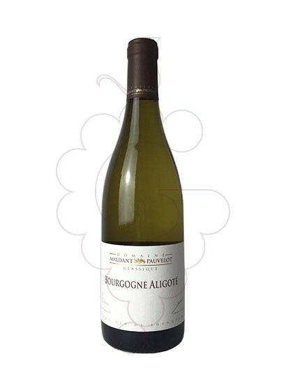 Photo Maldant Bourgogne Aligoté white wine