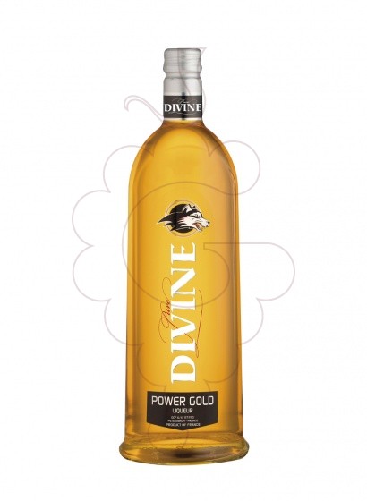 Photo Liqueur Jelzin pure power gold lic 70c