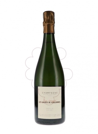 Photo Jean Servagnat Les Galipes de Coulommes sparkling wine