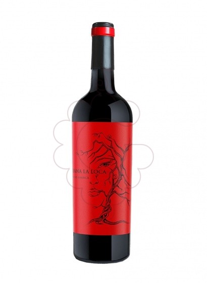 Photo Juana la loca roble 75 cl red wine