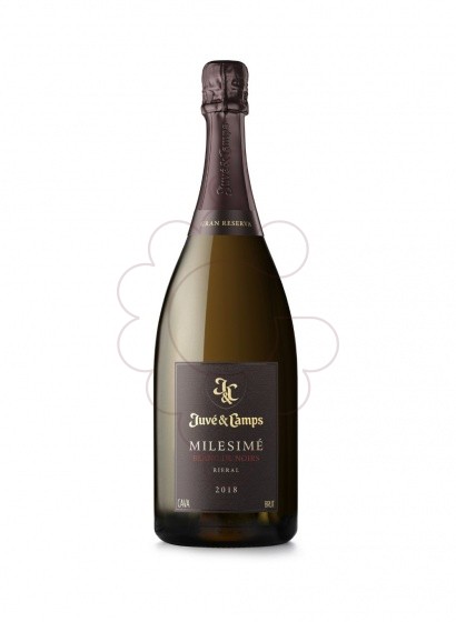 Photo Juve i Camps Blanc de Noirs sparkling wine