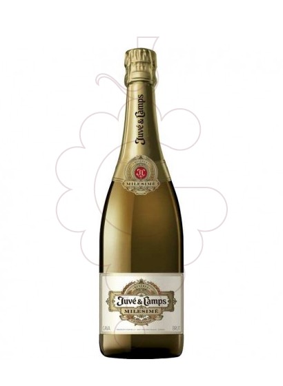 Photo Juve i Camps Milesime Chardonnay Magnum sparkling wine