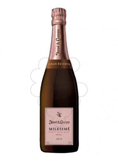 Photo Juve i Camps Milesime Pinot Noir Rosé sparkling wine