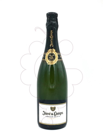 Photo Juve i Camps Nectar Blanc sparkling wine