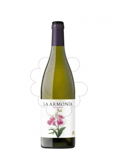 Photo La armonia blanc chardonnay white wine