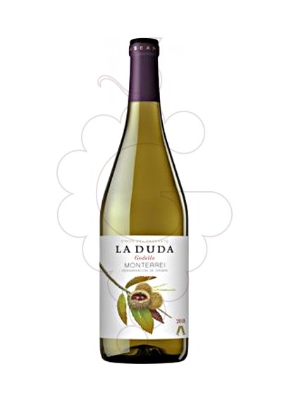 Photo La Duda white wine