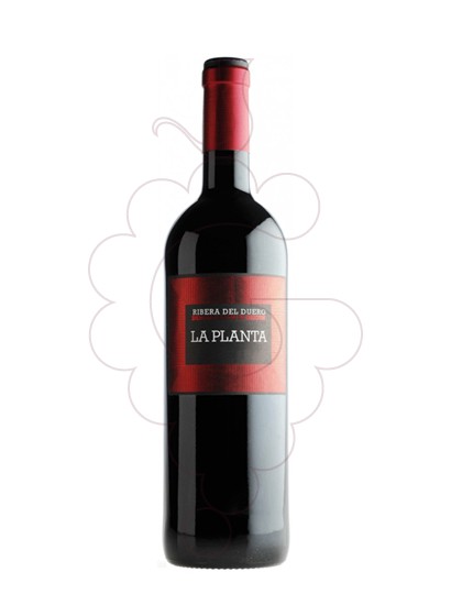 Photo Arzuaga La Planta Magnum red wine