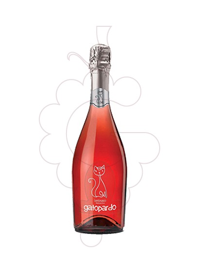 Photo Lambrusco Gato Pardo Rosat sparkling wine