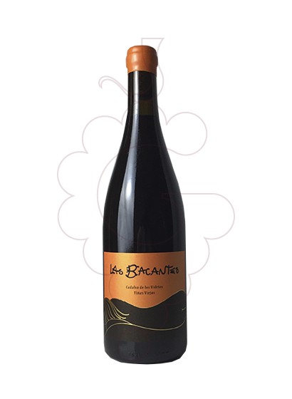 Photo Las Bacantes Viñas Viejas red wine