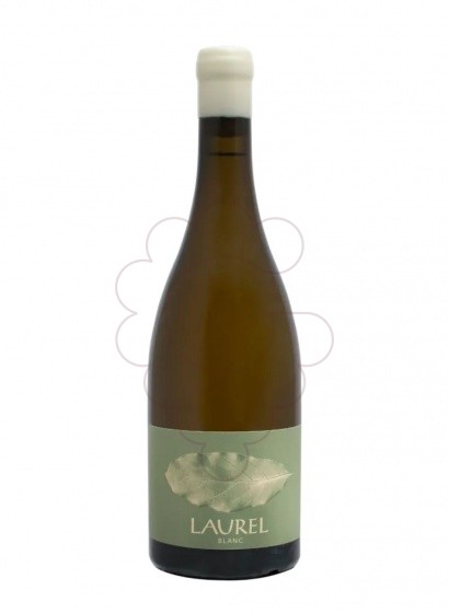 Photo Laurel Blanc white wine