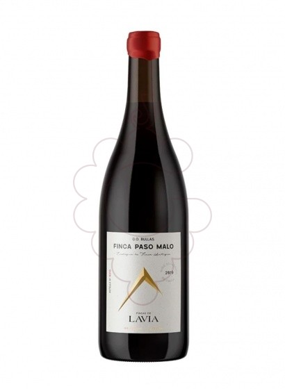 Photo Lavia finca paso malo 2019 red wine