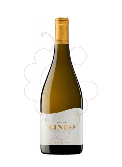 Photo Lineo Magnum white wine