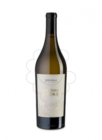 Photo Madonna vittorie nosiola bl 23 white wine