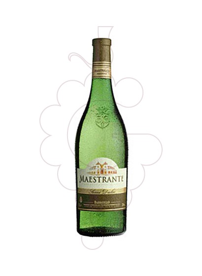 Photo Maestrante (Barbadillo) white wine