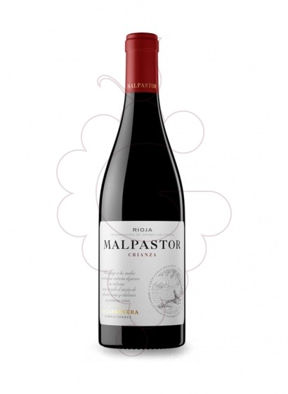 Photo Malpastor Crianza red wine