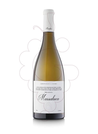 Photo White Massaluca white wine