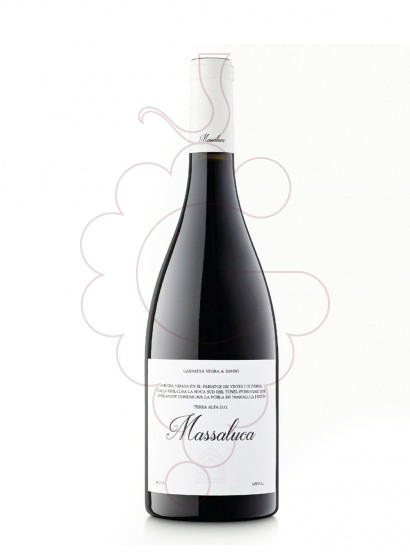 Photo Red Massaluca Magnum red wine