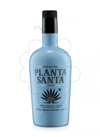Photo Mezcal Mezcal planta santa joven