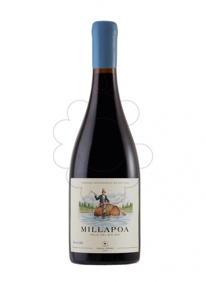 Photo Millapoa Torres Chile red wine