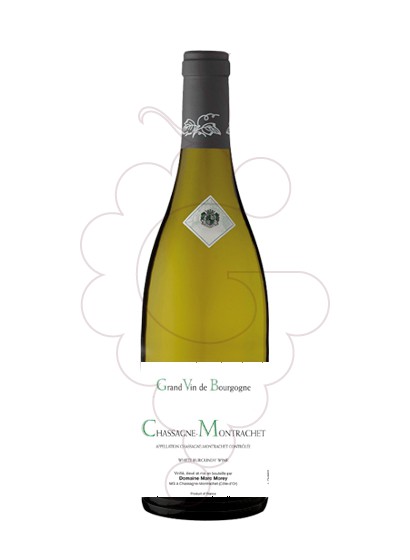 Photo Marc Morey Chassagne-Montrachet white wine