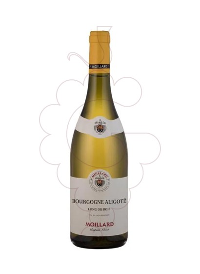 Photo Moillard Bourgogne Aligoté white wine