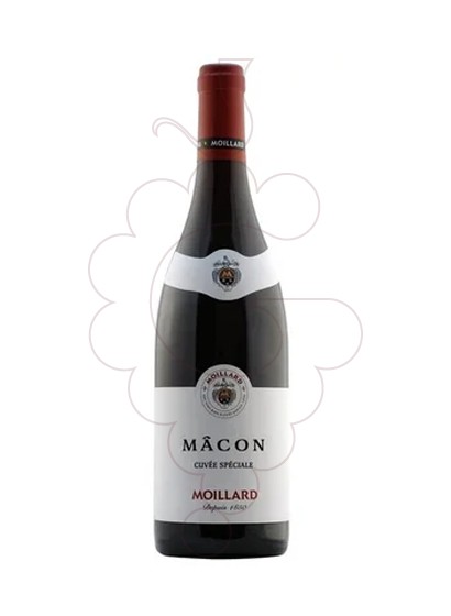 Photo Moillard Mâcon Naurouze red wine