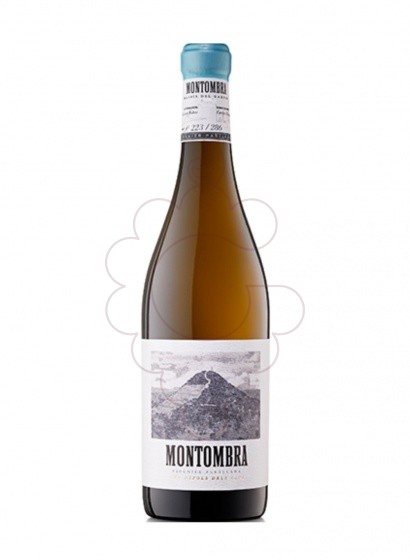 Photo White Montombra Can Ràfols Vol II white wine