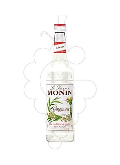 Photo Syrups Monin Gingembre (s/alcohol)