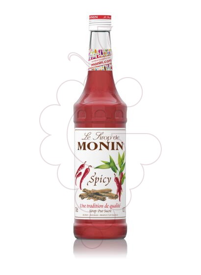 Photo Syrups Monin Spicy (s/alcohol)