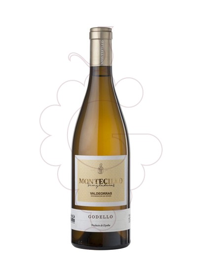 Photo Montecillo Godello white wine