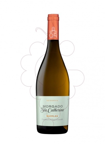 Photo Morgado de sta.catherina blanc white wine