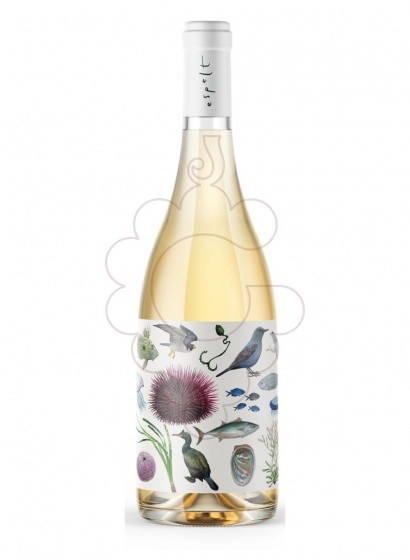 Photo White Mosaic white wine