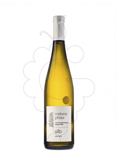 Photo Mélanie Pfister Silb Pinot Gris white wine