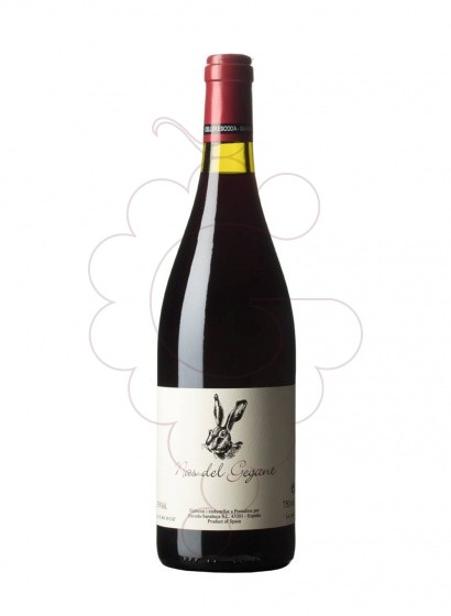 Photo Nas del gegant negre 2021 75cl red wine