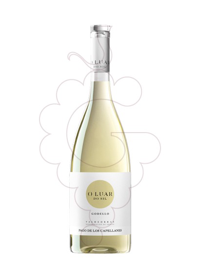 Photo O Luar do Sil Godello Magnum white wine