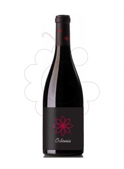 Photo Octonia Negre red wine